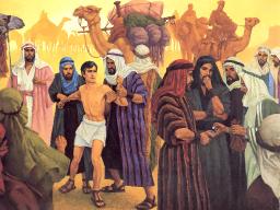 LESSONS FROM JOSEPH BY ANDREW WOMMACK