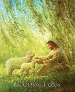 THE BENEFITS OF FASTING BY ANDREW WOMMACK