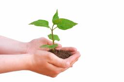 MORE THAN SOWING AND REAPING BY ANDREW WOMMACK