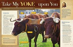 BEING YOKED TO JESUS BY ANDREW WOMMACK