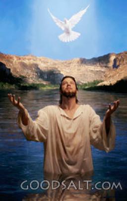 THE UNPARDONABLE SIN BY ANDREW WOMMACK