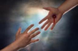 NATURALLY HOLY BY ANDREW WOMMACK