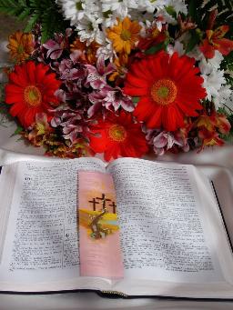 UNDERSTANDING GOD'S WORD BY ANDREW WOMMACK