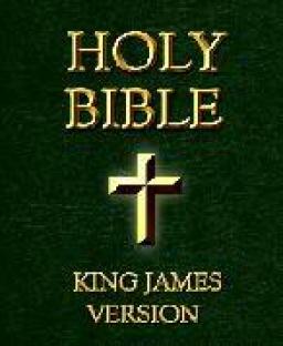  NO DISTRACTIONS, PLEASE BY ANDREW WOMMACK