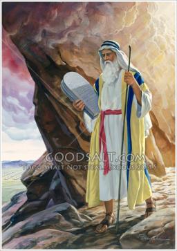 REBIRTH BY ANDREW WOMMACK 