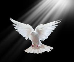 THE PROMISE OF THE HOLY SPIRIT BY DAVID MCMILLEN 