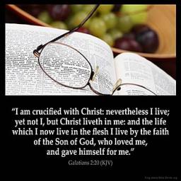 OUR RESURRECTED BODIES BY ANDREW WOMMACK