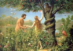 THE GARDEN OF EDEN BY DAVID MCMILLEN 
