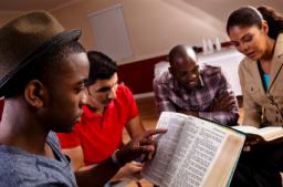 UNDERSTANDING THE BIBLE BY DAVID MCMILLEN 