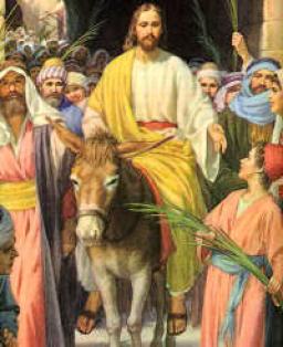 THE MIRACLE OF THE DONKEY AND COLT BY ANDREW WOMMACK 