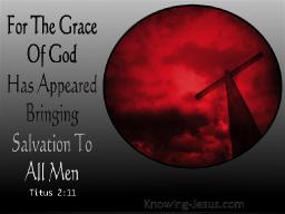 THE GRACE OF JESUS BY DAVID MCMILLEN