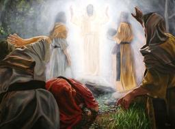 GOD'S NEW CREATION BY ANDREW WOMMACK