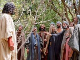 OUR WORDS ARE ALIVE BY ANDREW WOMMACK