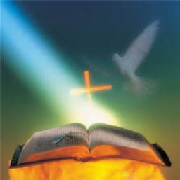 "USING THE POWER OF GOD'S WORD" BY DAVID MCMILLEN