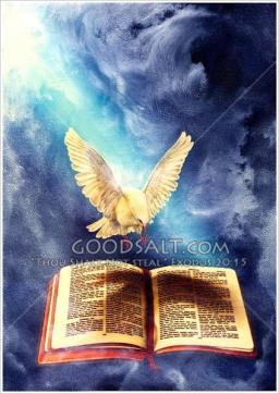 "GOD'S PROMISES" BY DAVID MCMILLEN 