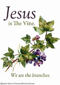 "LET GOD PRUNE YOU HIS WAY" BY ANDREW WOMMACK