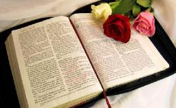 "HIS WILL IS IN THE WORD" BY ANDREW WOMMACK 