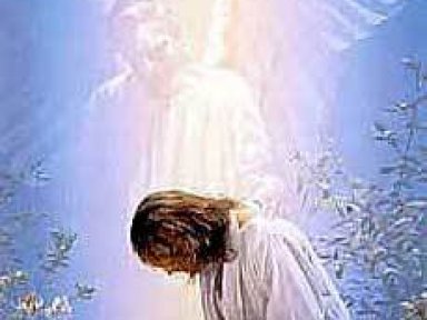 blog image