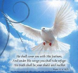 "KNOWING GOD'S WILL" BY DAVID MCMILLEN 