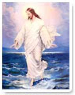 "WHAT IS A MIRACLE?" BY ANDREW WOMMACK