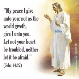 "NOT AT PEACE AND AFRAID, WHY?" BY DAVID MCMILLEN