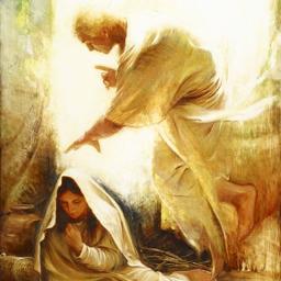 "BELIEVERS RECEIVE" BY ANDREW WOMMACK 