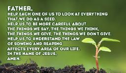 "MORE THAN JUST SOWING AND REAPING" BY ANDREW WOMMACK 