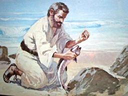 "DON'T CHEAT ON YOUR TAX RETURN" BY DAVID MCMILLEN 