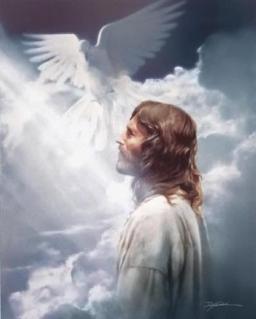 "DO YOU EVER WONDER?" BY DAVID MCMILLEN 