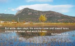 "TARES AMONG THE WHEAT" BY ANDREW WOMMACK  