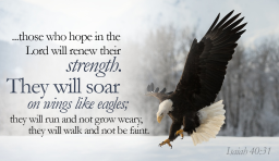 "OUR RELATIONSHIP WITH JESUS" BY DAVID MCMILLEN 