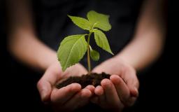 "PLANT THAT SEED FOR JESUS TODAY" BY DAVID MCMILLEN 