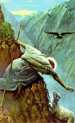 "WHAT IS A SHEPHERD" BY DAVID MCMILLEN 