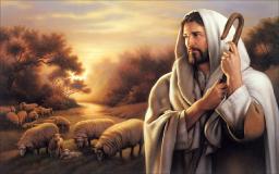 "ABOUT HUMILITY" BY ANDREW WOMMACK 