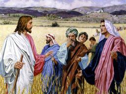 "SEPARATING THE TARES FROM THE WHEAT" BY ANDREW WOMMACK 