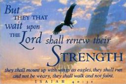 "BUILD FAITH, DESTROY DOUBT" BY ANDREW WOMMACK 