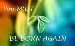 "REBIRTH" BY ANDREW WOMMACK  