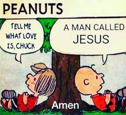 "THE PATIENCE AND LOVE OF JESUS" BY DAVID MCMILLEN 