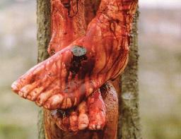 "WHO IS YOUR MASTER?" BY DAVID MCMILLEN 