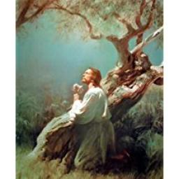 "FOCUS ON JESUS" BY ANDREW WOMMACK 