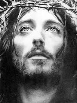 "JESUS, THE WISDOM OF GOD" BY ANDREW WOMMACK  