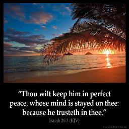 "AVOID STRIFE" BY ANDREW WOMMACK 