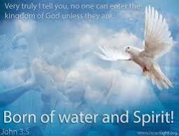 "WILL YOU DIE ONCE OR TWICE?" BY DAVID MCMILLEN 