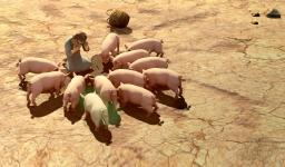 "HARD KNOCKS OR GOD'S WORD" BY ANDREW WOMMACK 