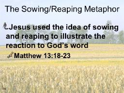 "SOWING AND REAPING" BY DAVID MCMILLEN 