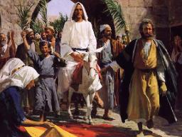 "THE MIRACLE OF THE DONKEY AND COLT" BY ANDREW WOMMACK 