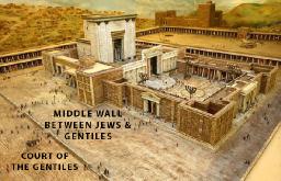 "GOD'S NEW CREATION" BY ANDREW WOMMACK 