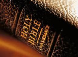 "UNDERSTANDING THE BIBLE" BY DAVID MCMILLEN 
