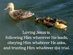 "SHOWING YOUR LOVE FOR JESUS" BY DAVID MCMILLEN 