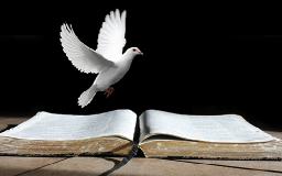 "OUR NATURE IS CHRIST" BY ANDREW WOMMACK 
